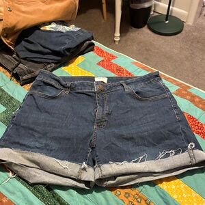 Ripton & Co Women’s Slate Shorts 32